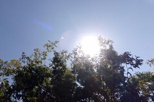 Bitrix 174078: 10.jpg