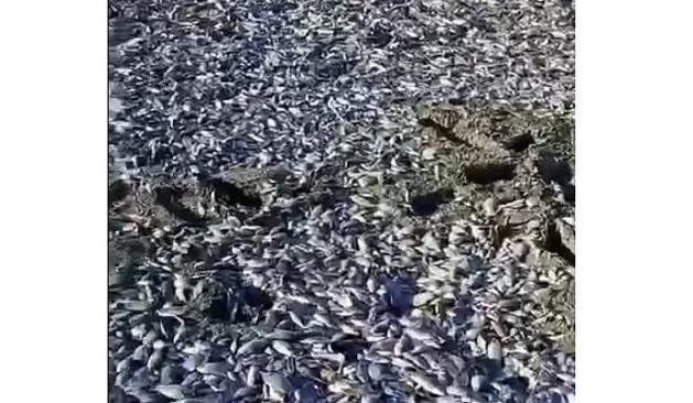 Bitrix 162806: 1111.jpg