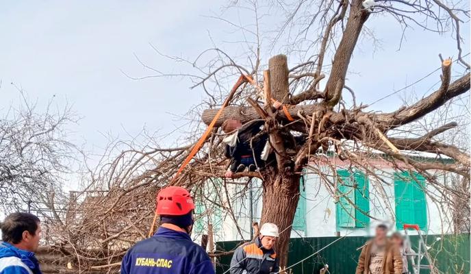 Bitrix 166134: 1111.jpg