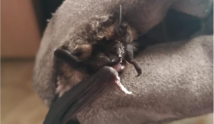 Bitrix 157411: 1111.jpg