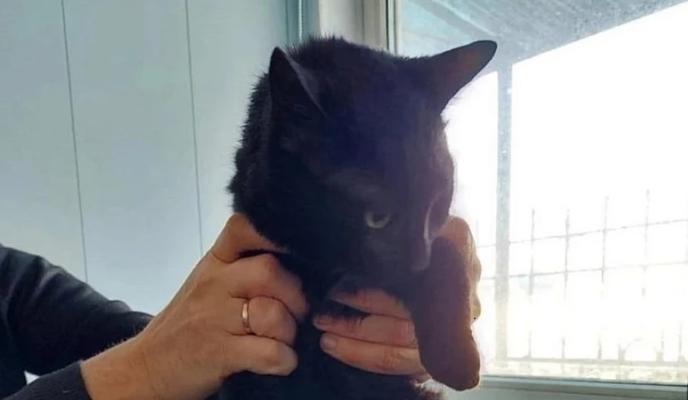 Bitrix 169335: 111.jpg