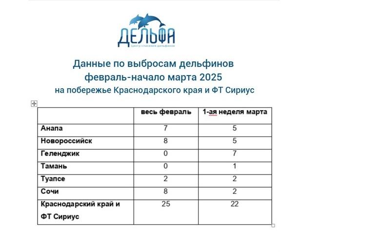 Bitrix 167874: 111.jpg