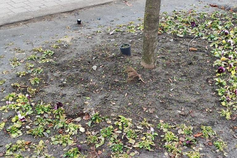 Bitrix 164795: 111.jpg