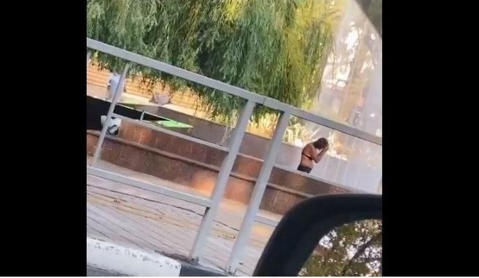 Bitrix 102686: 1155.jpg