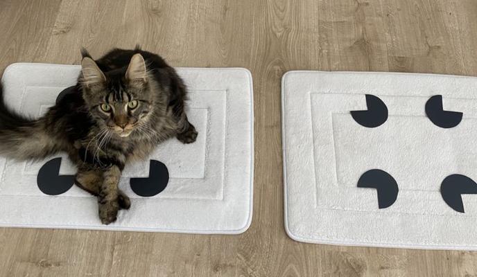 Bitrix 95869: 118395285_screenshot2021_05_06at13.41.03.png