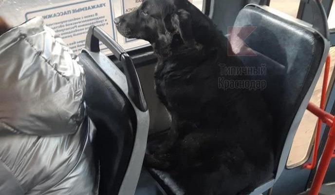 Bitrix 112790: 11.jpg