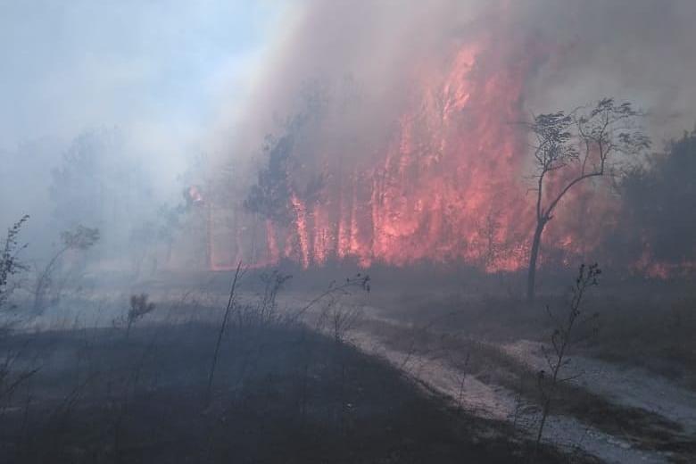 Bitrix 64957: 11.JPG