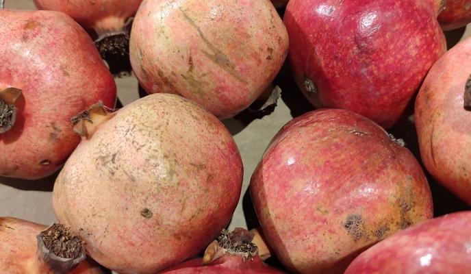 Bitrix 184286: 11.jpg