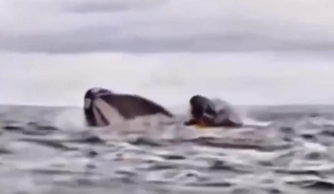 Bitrix 166611: 11.jpg