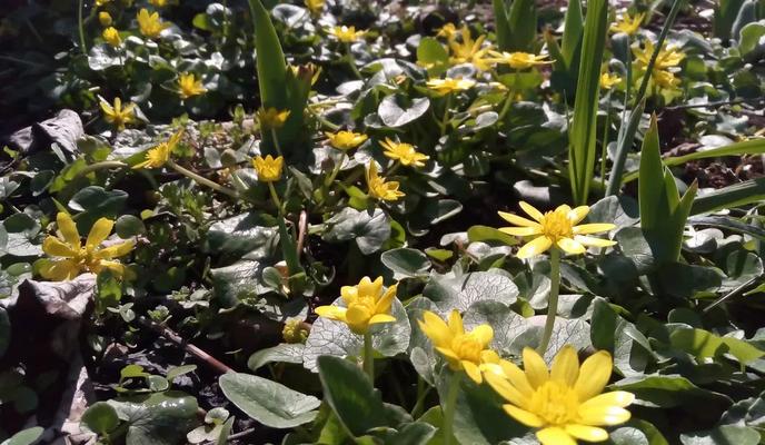 Bitrix 184104: 11.jpg