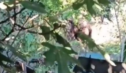 Bitrix 139156: 11.jpg