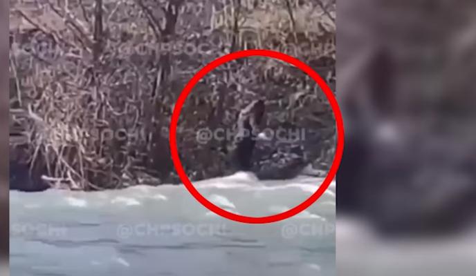 Bitrix 113832: 11.png