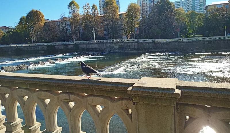 Bitrix 168143: 11.jpeg