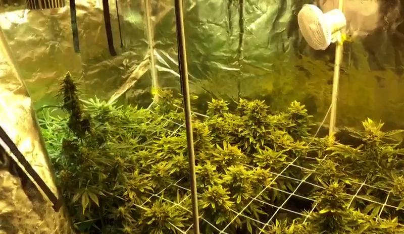 Bitrix 91812: 11.jpg