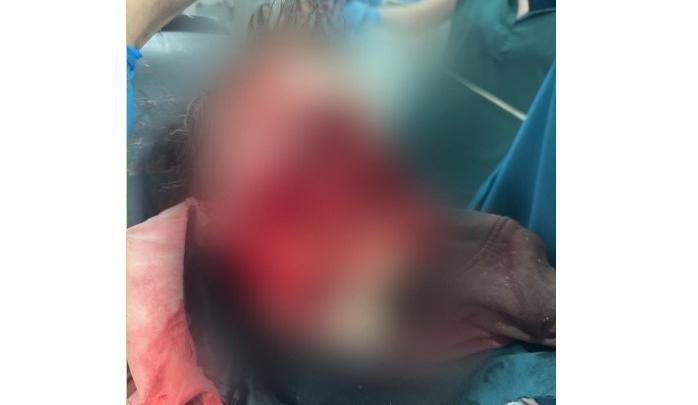 Bitrix 167277: 120.jpg