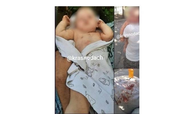 Bitrix 158516: 1242.jpg