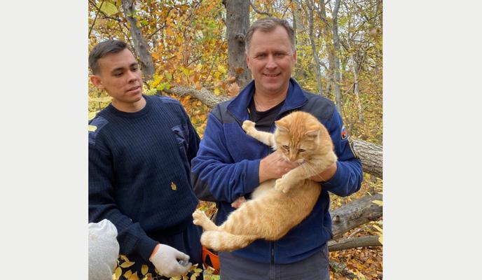 Bitrix 125495: 12.png