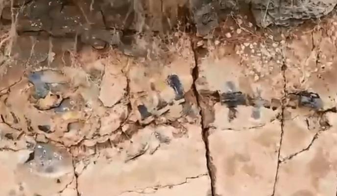 Bitrix 147955: 12.jpg