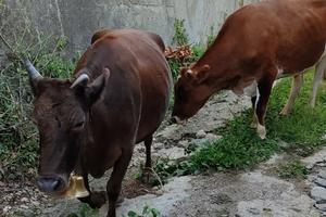 Bitrix 185476: 12.jpeg