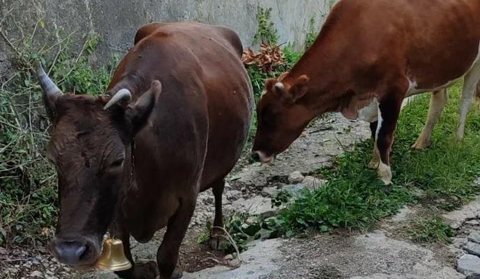 Bitrix 185476: 12.jpeg