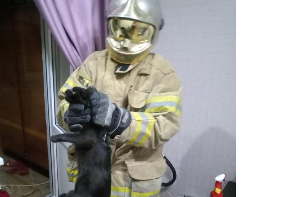 Bitrix 65261: 12.JPG