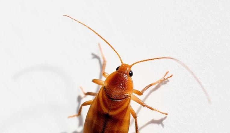 Bitrix 182811: 12.jpg