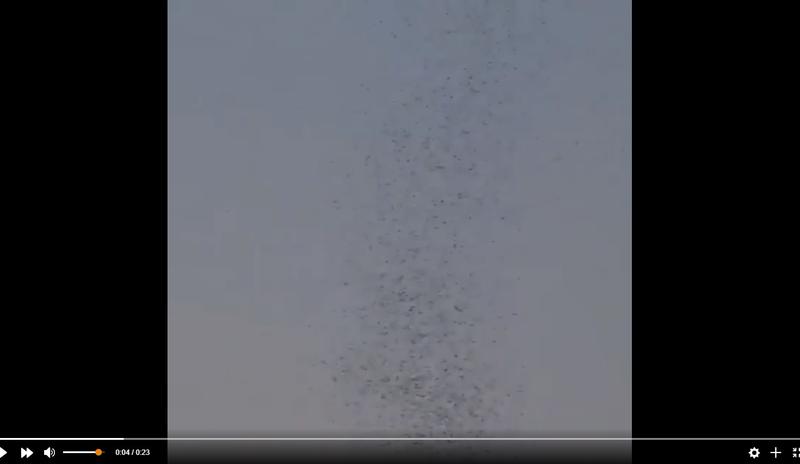 Bitrix 102400: 12.jpg