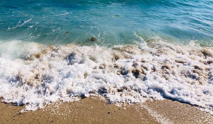 Bitrix 179317: 12a74921_504e_4ba2_b4b2_164bff0c00fb.jpg