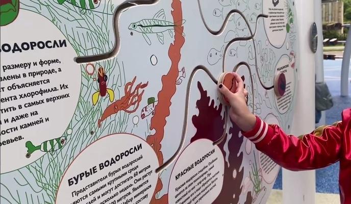 Bitrix 134689: 13.jpg