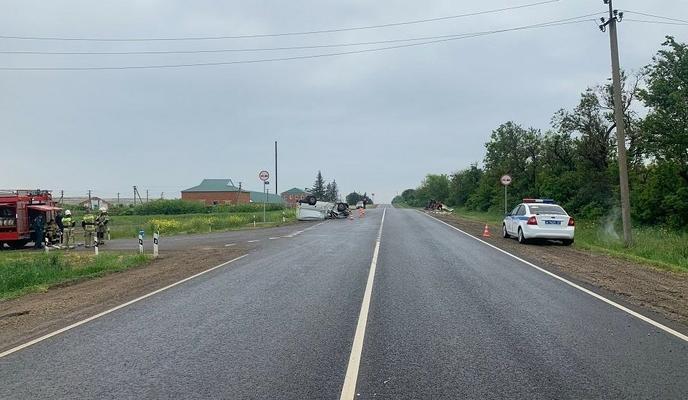 Bitrix 118059: 13.jpg