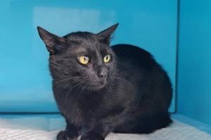 Bitrix 181716: 13.jpg