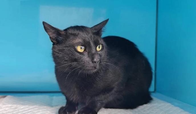 Bitrix 181716: 13.jpg