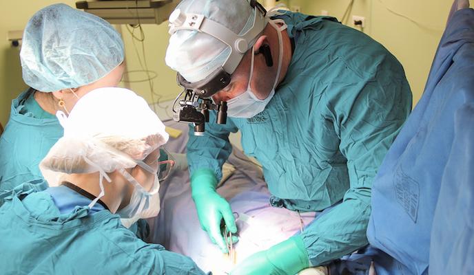 Bitrix 100078: 13.jpg