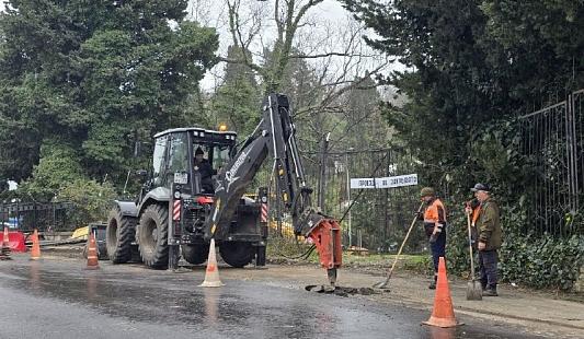 Bitrix 183131: 13.jpg