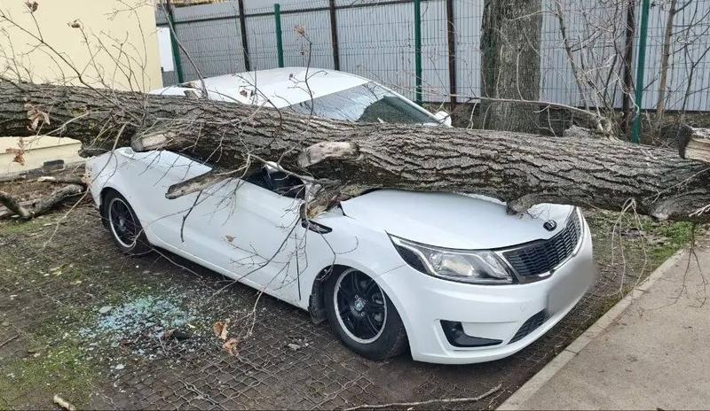 Bitrix 184070: 13.jpg