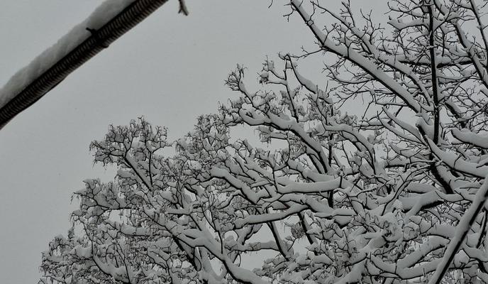 Bitrix 182510: 13.jpg