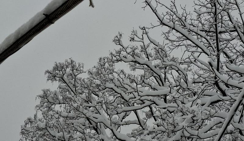 Bitrix 182510: 13.jpg