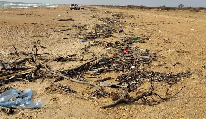 Bitrix 90611: 148150724_240243334257062_2844600851464649190_n.jpg