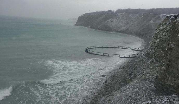 Bitrix 90757: 149507595_252149016501047_343390242414731331_n.jpg