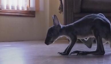 Bitrix 121511: 14.png