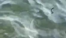 Bitrix 101168: 14.png