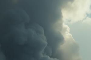 Bitrix 181382: 14.jpg