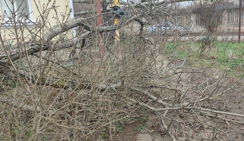 Bitrix 184783: 14.jpg