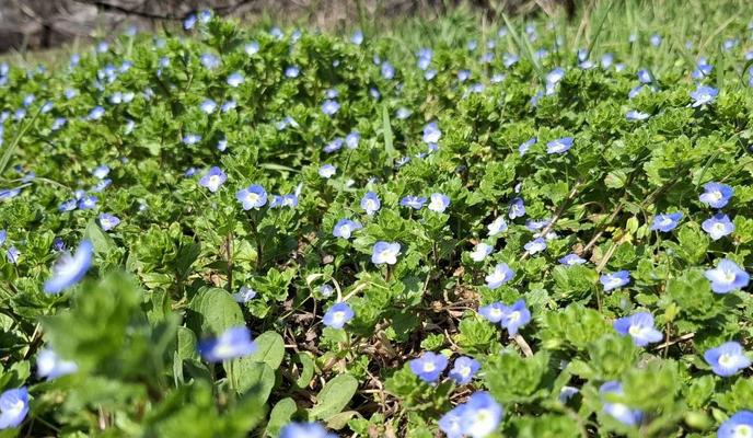 Bitrix 185315: 14.jpg