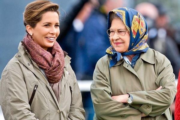 Bitrix 61855: 14.jpg