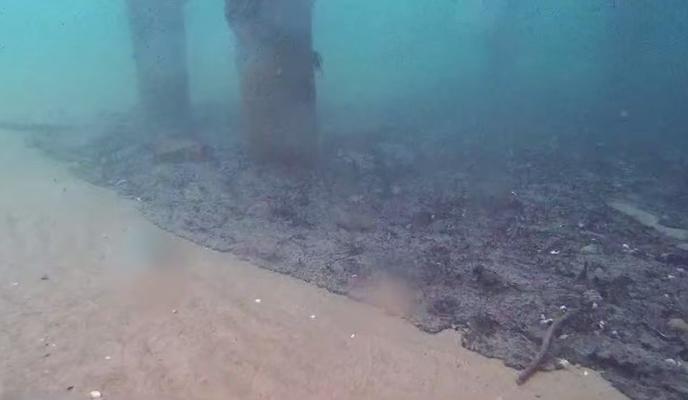 Bitrix 165055: 14.jpg