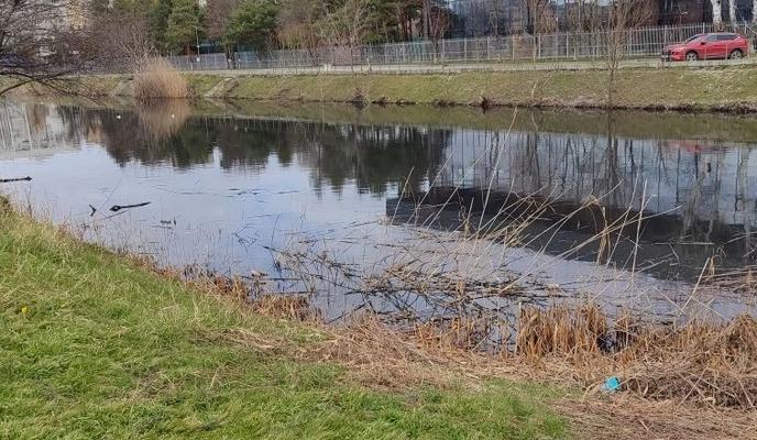 Bitrix 184955: 14.jpg