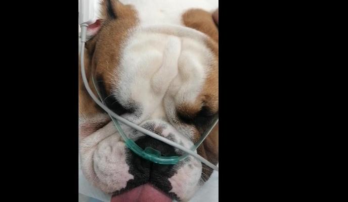 Bitrix 88750: 15151.jpg