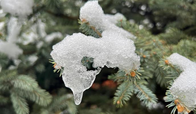 Bitrix 182757: 15169cfb_2b2b_4a1f_a0e8_ffb888a4632c.jpg