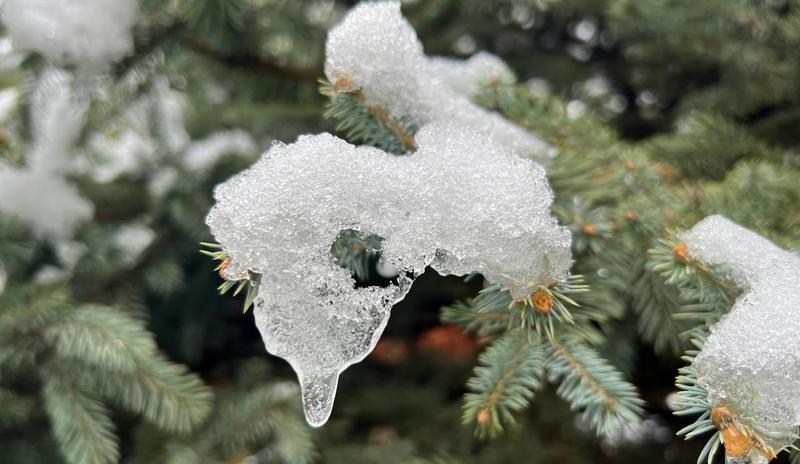 Bitrix 182757: 15169cfb_2b2b_4a1f_a0e8_ffb888a4632c.jpg